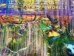 -正佳雨林生态植物园