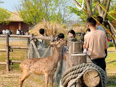 -祥源·阜阳生态乐园