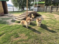 -长兴太湖图影湿地文化园