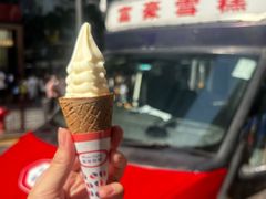 -富豪雪糕车流动点(尖沙咀店)