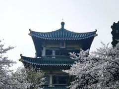 -东湖听涛景区