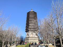 -玲珑塔公园