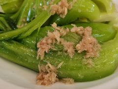 姜蓉水东芥菜-雅香园·30年老字号顺德酒家(乐从岳步店)