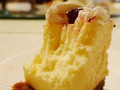 -维尔纳斯·生日蛋糕动物奶油冰淇淋蛋糕(人大店)