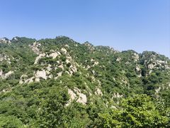 -大岭沟猕猴桃谷风景区
