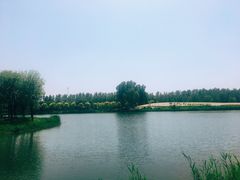 -东郊湿地公园