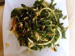 凉拌柳芽-大鹅岛灶台鱼·铁锅炖(水库路店)