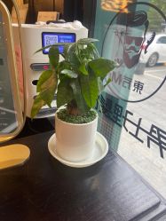 -东方先生国潮男士理发馆