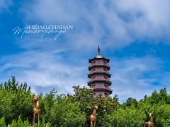-石岛赤山风景区