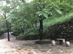 -藏山旅游风景区