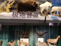 -中国湿地博物馆