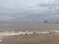 -兴城海滨风景区