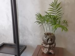 -石泉私宴