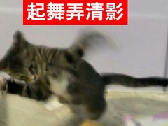 -联合动物医院(光谷诊疗中心)