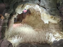 -湖南省地质博物馆