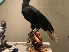 -湖州博物馆