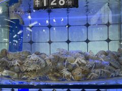 -日照大牌檔•小船海鲜(万平口店)