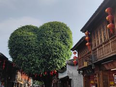 -广州市流溪河国家森林公园