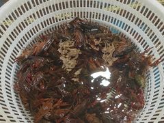 -韩家墅海吉星农产品批发市场