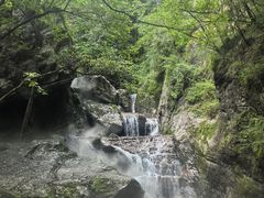 -牛背梁国家森林公园