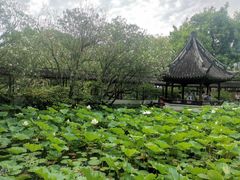 -上海醉白池公园