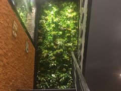 -天都火锅酒楼(虹梅南路店)