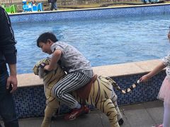 -蒙特利亲子乐园