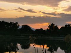 -永定河休闲森林公园
