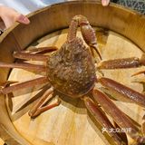 这大的螃蟹怎么吃啊🤔