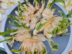 -平吉花卉市场