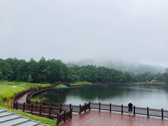 -海南热带雨林国家公园吊罗山景区