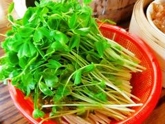 老广豆苗-好嘢港式街头火锅(河北店)