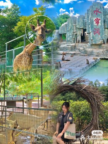 东莞周末游|香市动物园游玩攻略说走就走