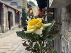 -红小姐咖啡馆(西津渡店)