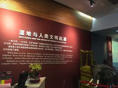 -中国湿地博物馆