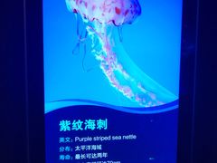 -波塞冬旅游度假区