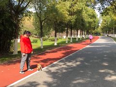 -艾溪湖湿地公园