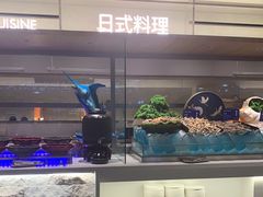 -星伦多自助料理·涮烤一体(江桥万达店)