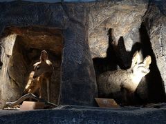 -陕西自然博物馆