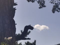 -华山风景名胜区