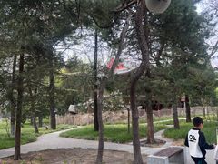 -宣武艺园