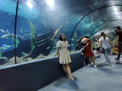 -南昌海洋公园