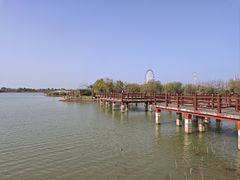 -江心屿景区