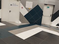 -谢列梅捷沃国际机场