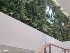 -M Stand(宁波万象城店)