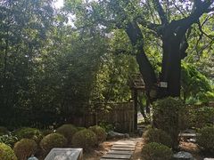 -大连植物园