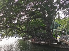 -荔湾湖公园