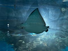 -福州罗源湾海洋世界旅游区