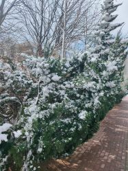 -大连市妇女儿童医疗中心(希望广场儿童院区)