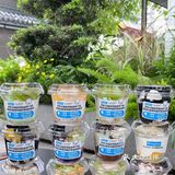 酸奶界的爱马仕！都市丽人下午茶的排面！